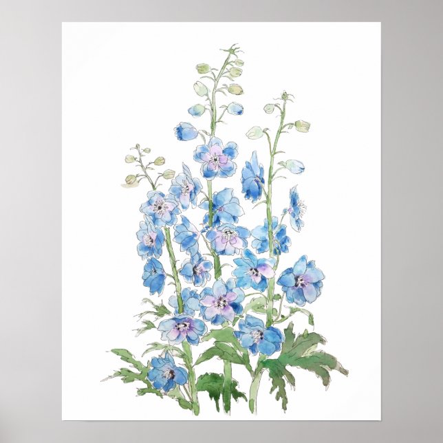 blue purple delphinium ink and watercolor  poster (Front)