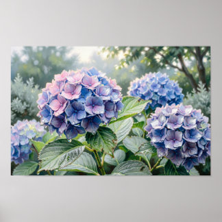 Blue & Purple Hydrangeas Fine Art Print