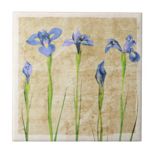 Blue Purple Iris Flowers Brown Background Floral Tile