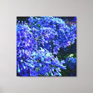 Blue purple lilacs romantic blue floral photo canvas print
