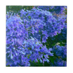 Blue purple lilacs romantic blue floral photo ceramic tile