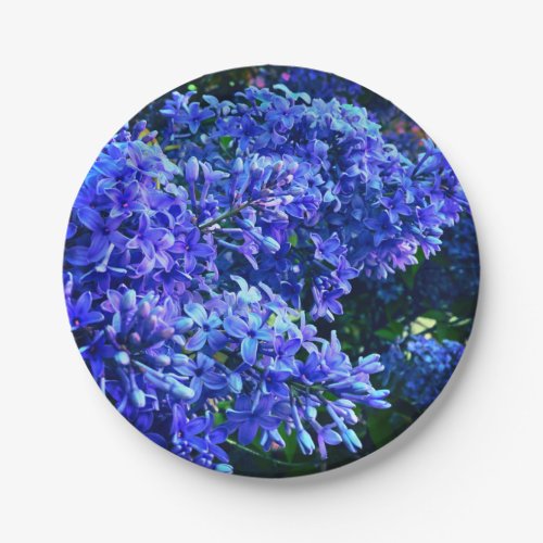 Blue purple lilacs romantic blue floral photo paper plates