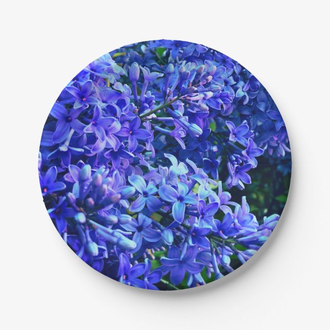 Blue purple lilacs romantic blue floral photo paper plates (Front)