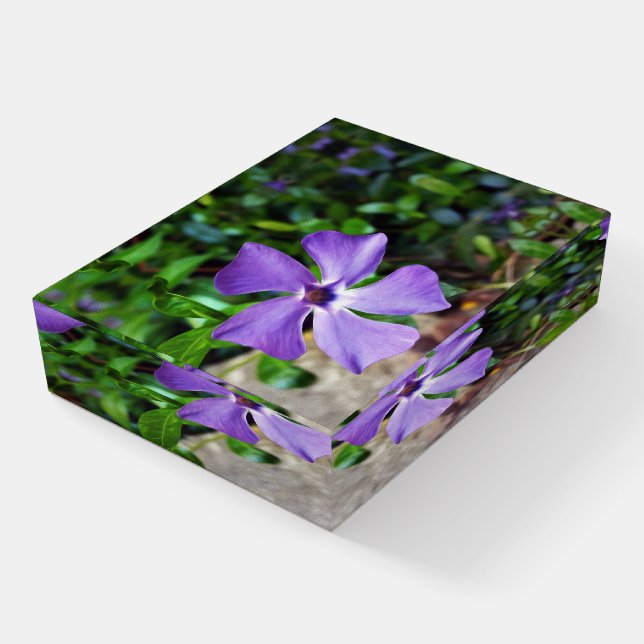 Blue purple petals paperweight (Angled)