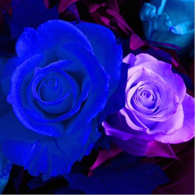 Blue Purple Rose Photo Sculpture (Front)