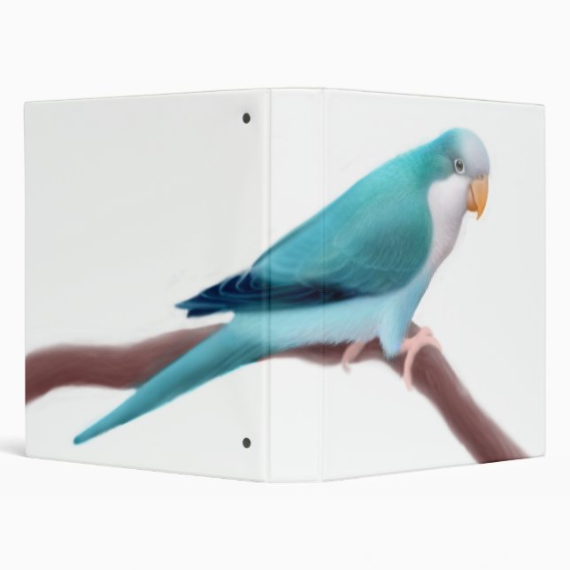 Blue Quaker Parakeet Avery Binder (Background)