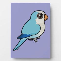 Blue Quaker Parrot Photo Plaque 5