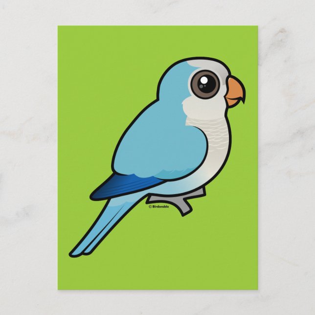 Blue Quaker Postcard (Front)