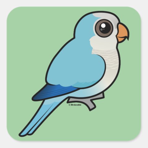 Blue Quaker Parrot Square Sticker | Cute Bird Gifts