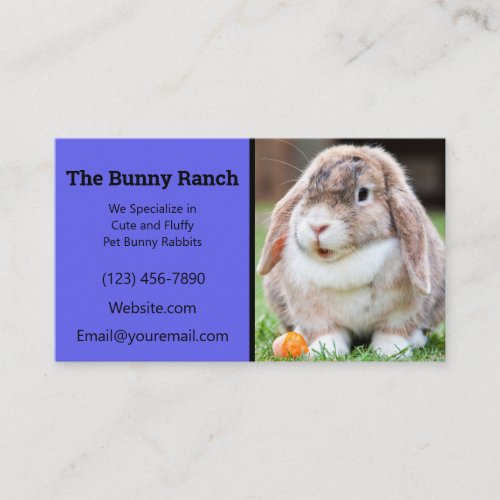Blue Rabbit Breeder Business Card
