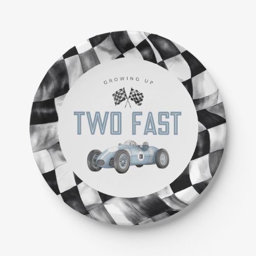 Blue Race Car Two Fast 2nd birthday party Paper Plates