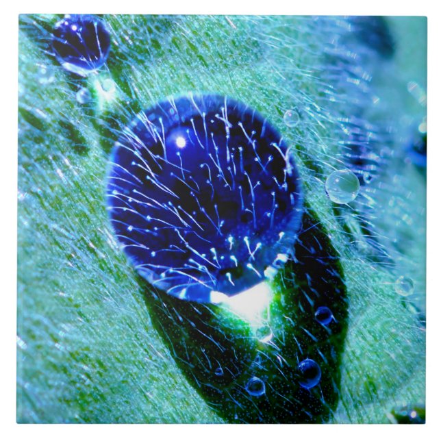 Blue Raindrops Water Pearls Ceramic Tile (Front)
