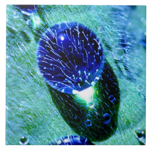 Blue Raindrops Water Pearls Photo _Quadrat Ceramic Ceramic Tile