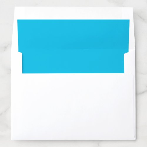 Blue raspberry solid color  envelope liner