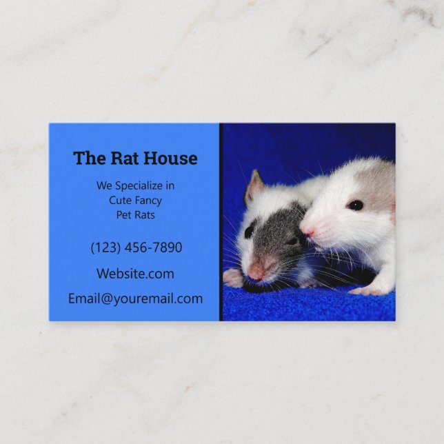 Blue Rat Breeder Rattery Business Card (Front)