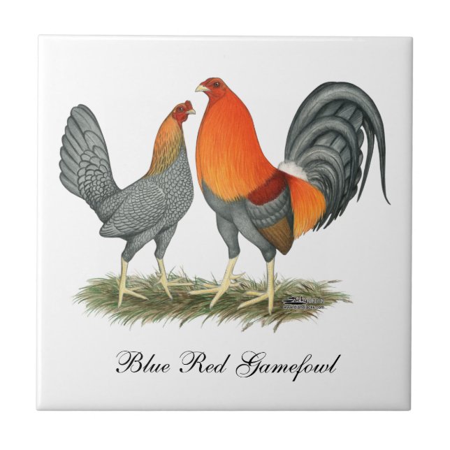 Blue Red Gamefowl Ceramic Tile (Front)
