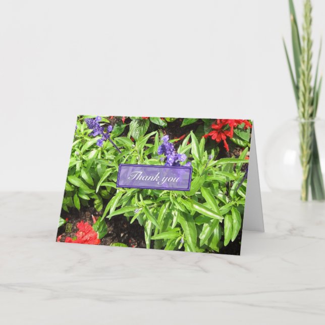 Blue & Red Salvia Thank You Card (Front)