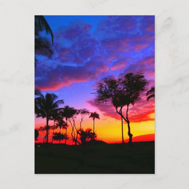 Blue Red Sunset Exotic Hawaiian Beach Palm Trees Postcard (Front)