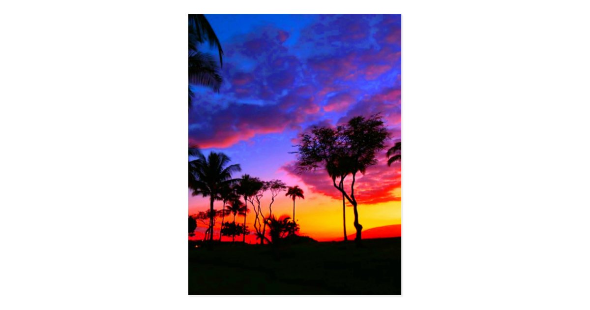 blue red sunset exotic hawaiian beach palm trees postcard holiday address labels