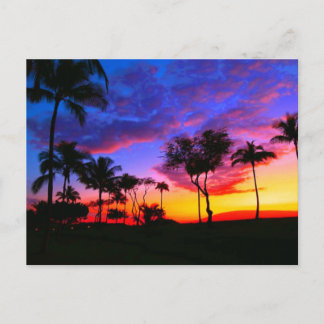 Blue Red Sunset Exotic Hawaiian Beach Palm Trees Postcard