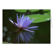 Blue reflections (Front Horizontal)