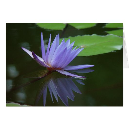 Blue reflections (Front Horizontal)