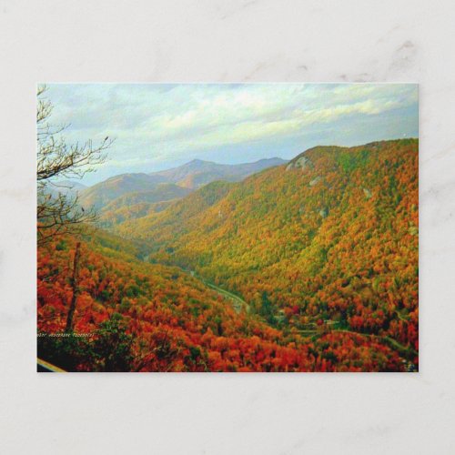 Blue Ridge Mountain Range of North Carolina Postcard