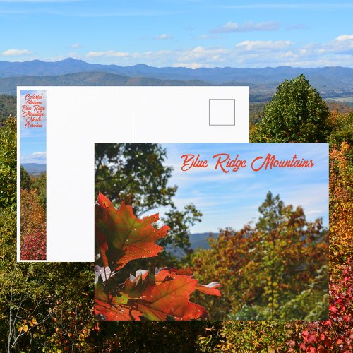 Blue Ridge Mountains NC Colorful Autumn Photo Postcard