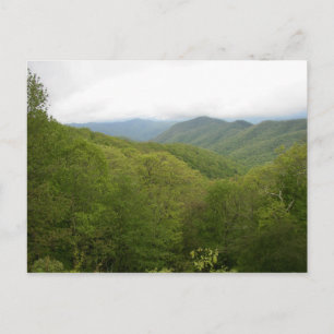 Blue Ridge Mountains, North Carolina Postcard