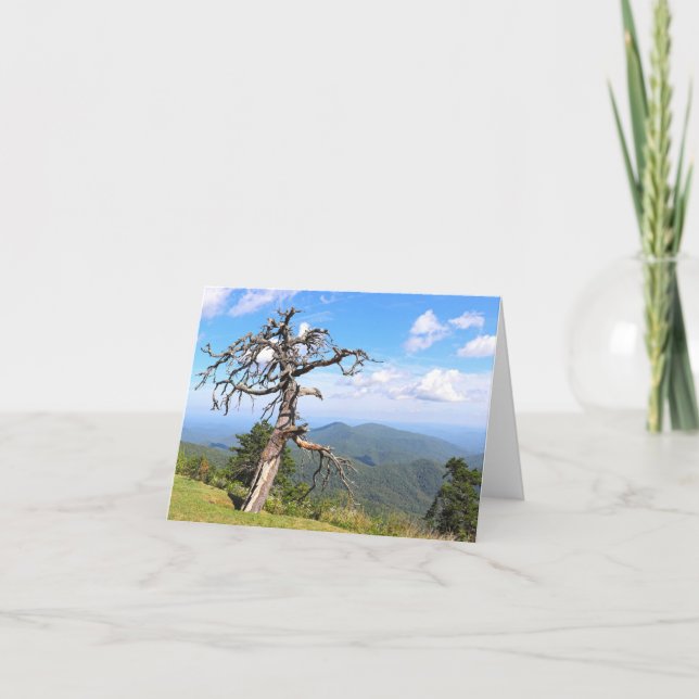 Blue Ridge Mountains Photo Note Card (Front)
