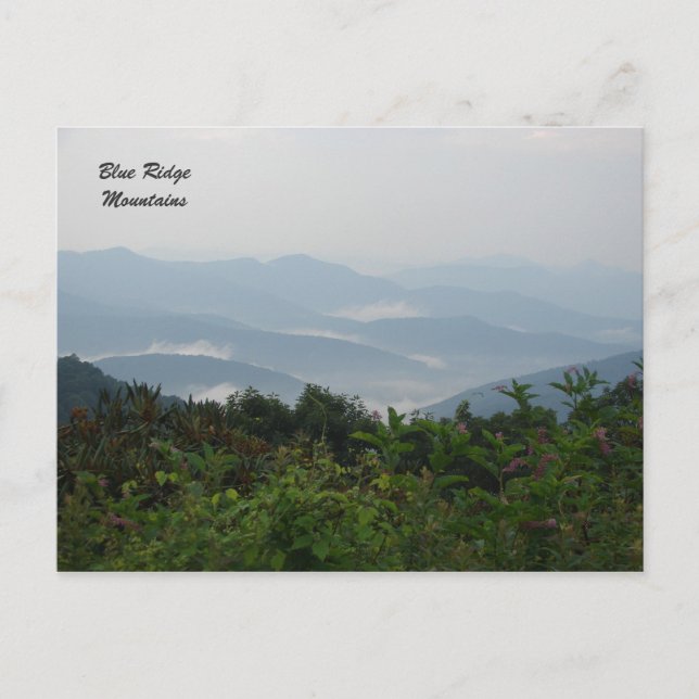 Blue Ridge Mountains Postcard (Front)