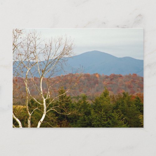 Blue Ridge Mountains VA Landscape Photo Shenandoah Postcard