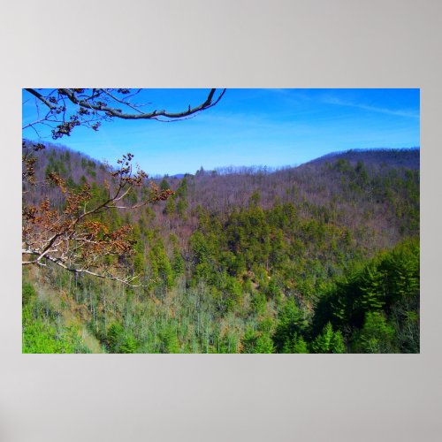Blue Ridge Mountains View Poster