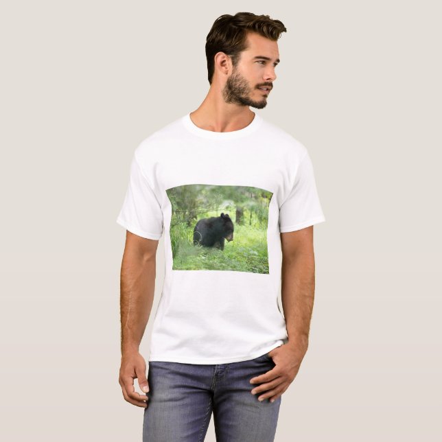 Blue Ridge Parkway  - Bear 2 T-Shirt (Front Full)