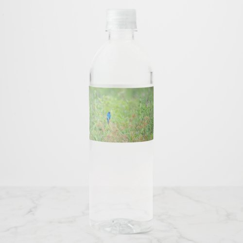 Blue Ridge Parkway _ Cades Cove _ Indigo Bunting Water Bottle Label