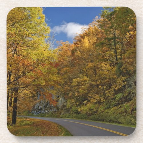Blue Ridge Parkway curving through autumn colors Drink Coaster