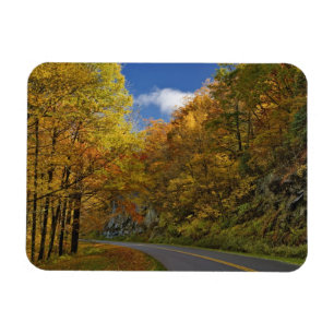 Blue Ridge Parkway curving through autumn colors Magnet