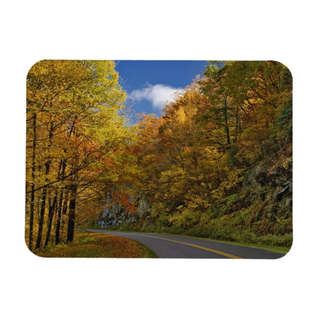 Blue Ridge Parkway curving through autumn colors Magnet (Horizontal)