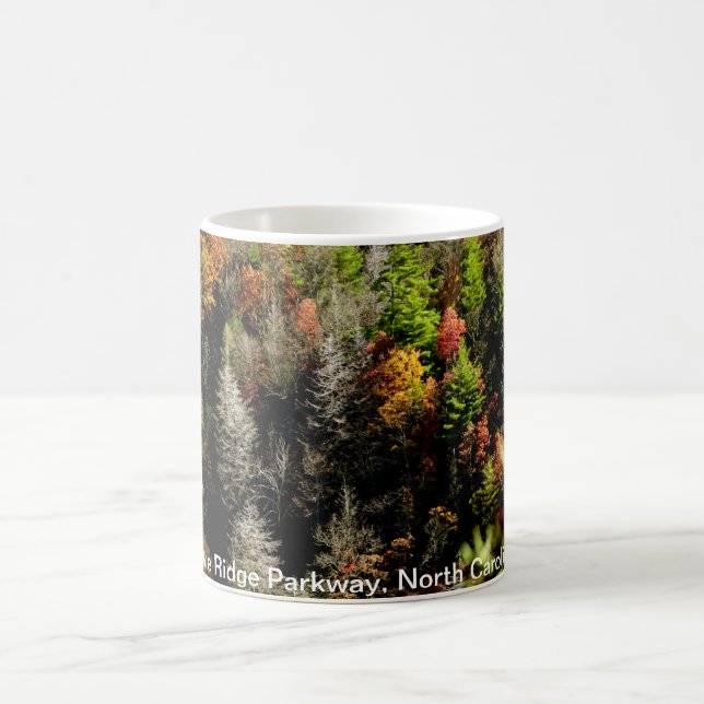 Blue Ridge Parkway , North Carolina Coffee Mug (Center)