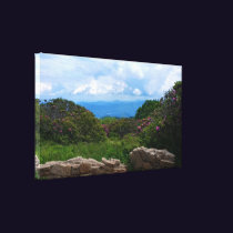 Blue Ridge Spring Canvas Print