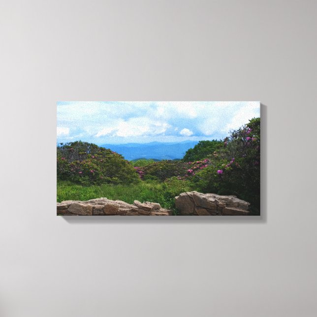 Blue Ridge Spring Canvas Print (Front)
