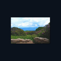 Blue Ridge Spring Canvas Print
