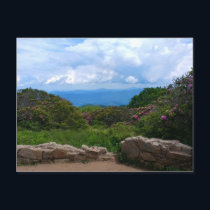 Blue Ridge Spring Postcard