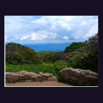 Blue Ridge Spring Postcard