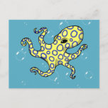 Blue Ringed Octopus Postcard