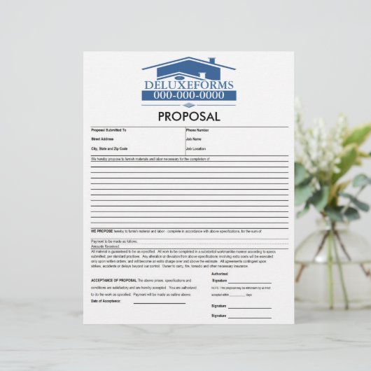 Blue Roof Proposal (Standing Front)