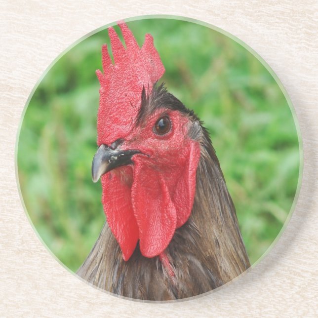Blue Rooster Drink Coaster (Front)
