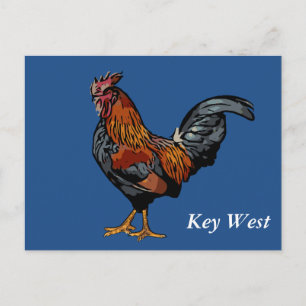 Blue Rooster Key West Post Card
