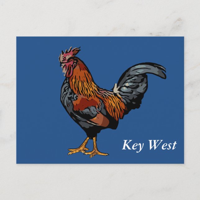 Blue Rooster Key West Post Card (Front)