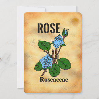 Blue rose aged paper style line art Flat Card